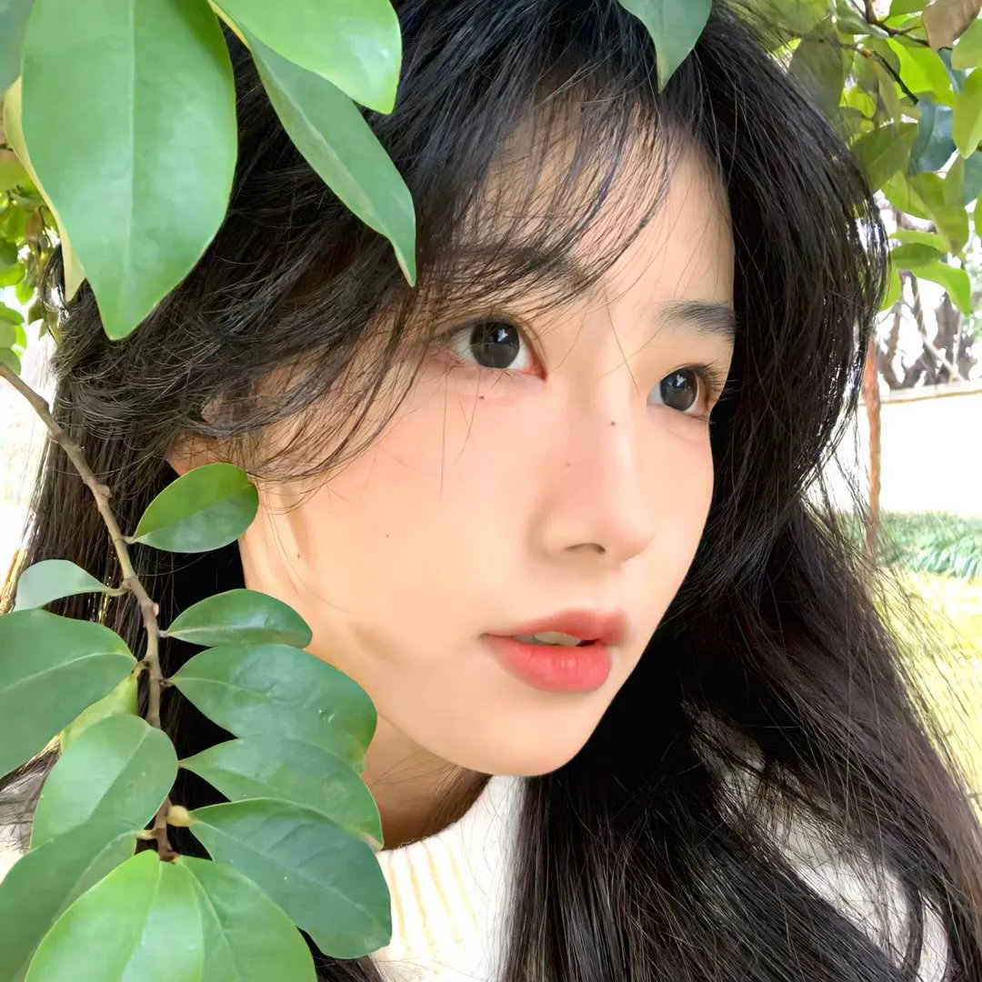 寻找微尘